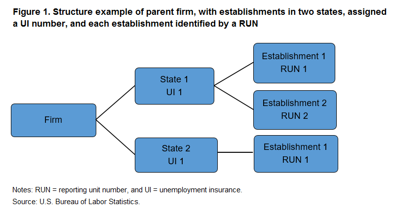 Figure 1. Structure example of parent firm, with establishments in two states, assigned a UI number, and each establishment identified by a RUN