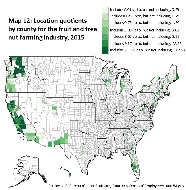 A map of the United States showing the location quotients by county for the fruit and tree nut farming industry, 2015. Source: U.S. Bureau of Labor Statistics, Quarterly Census of Employment and Wages.