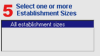 Select one or more Establishment Sizes