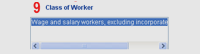 Class of Worker