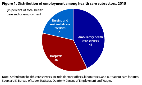 Figure 1. Distribition of employment among health care subsectors, 2015