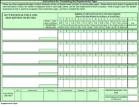 Supplemental Pages