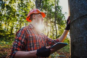 Conservation scientist