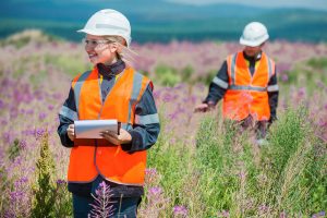 Scientists taking notes while conducting research in a nature area