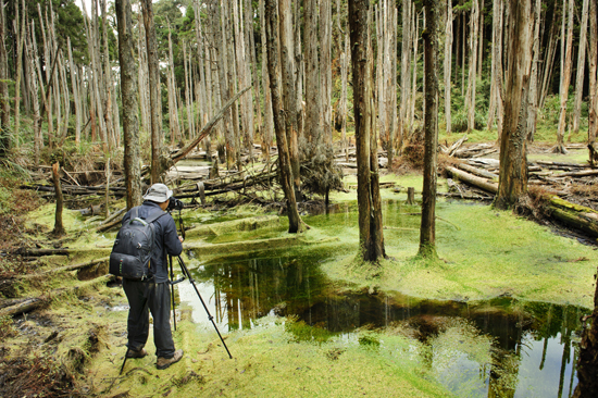 Nature photographer at work.