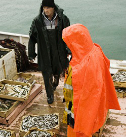 fishing workers on a boat