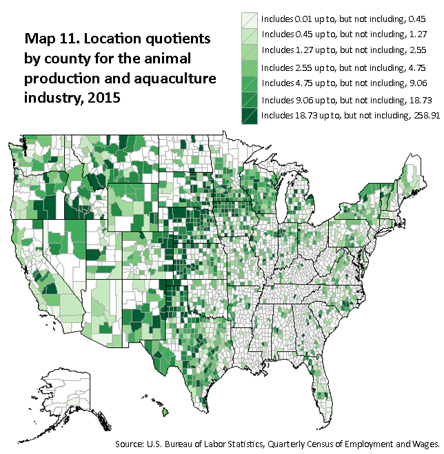 A map of the United States showing the location quotients by county for the animal production and aquaculture industry, 2015. Source: U.S. Bureau of Labor Statistics, Quarterly Census of Employment and Wages.