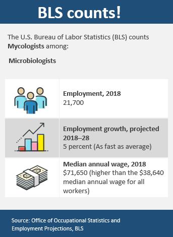 Mycologist-infographic.