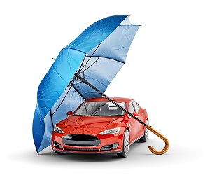 Motor Vehicle Insurance Image
