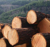 Logs