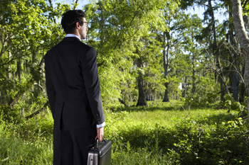 Man weaing suit holding briefcase looks into forest.