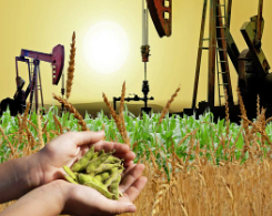 Crude oil prices and export agricultural commodities prices