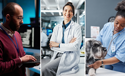 Image of three different workers in this industry.