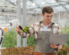 Employee with laptop computer in greenhouse.