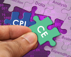 Puzzle pieces labeled CPI and CE.