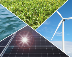 Nonfossil fuel electric power generation: Hydroelectric, Solar, Wind, Geothermal, Biomass.