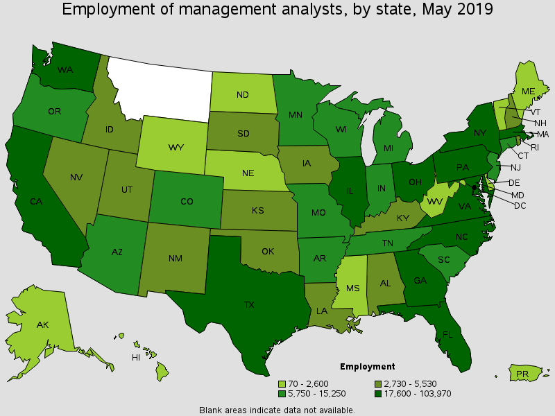 Management Analysts