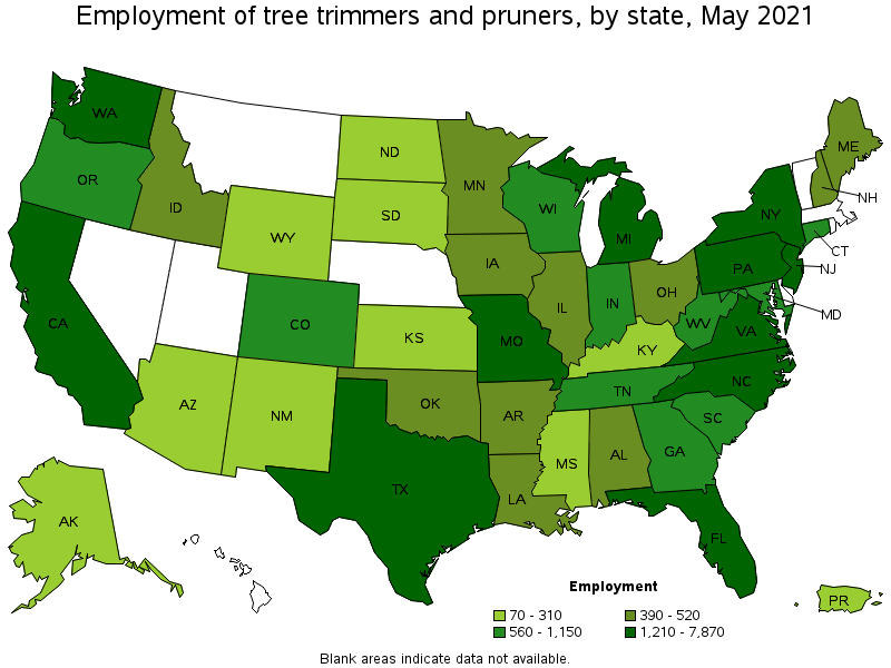 Map of employment of tree trimmers and pruners by state, May 2021