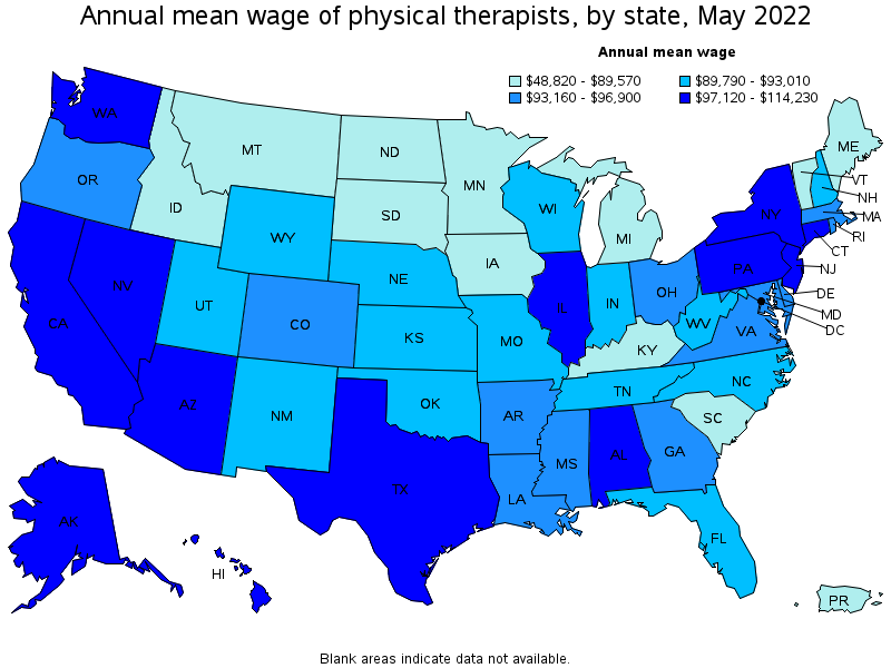 Physical Therapists