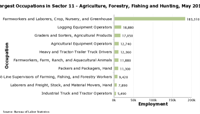 Charts showing Largest occupations in each industry