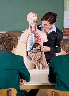 Health educators