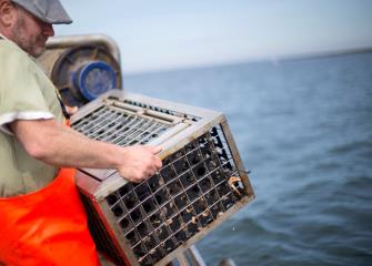 fishers and related fishing workers image