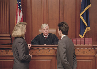 Judges, mediators, and hearing officers