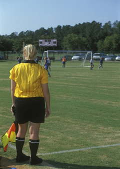 Umpires, referees, and other sports officials