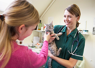 Veterinary technologists and technicians