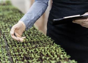 Agricultural and food science technicians