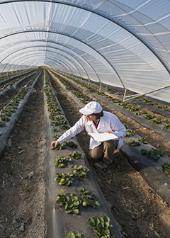Agricultural and food science technicians