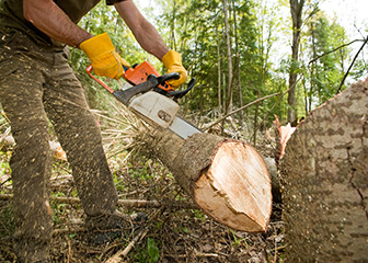 Logging workers