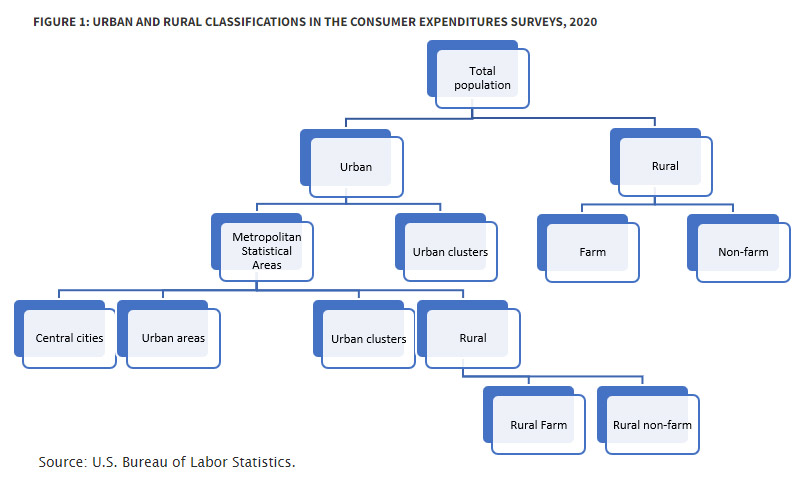 Urban and rural classifications in the Consumer Expenditures Surveys, 2020