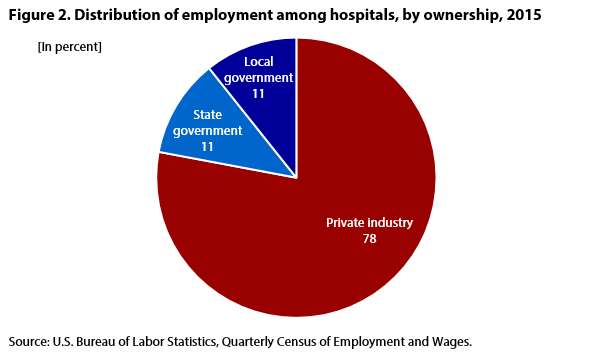 Figure 2. Distribution of employment among hospitals, by hospital ownership, 2015