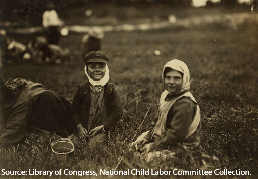 A 6-year-old boy and 8-year-old girl picking berries in East Wareham, Maple Park Bog, Massachusetts, in September 1911.