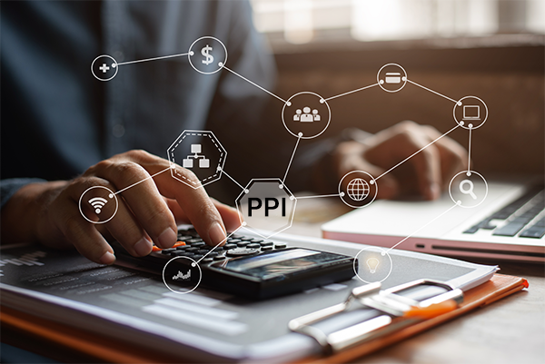 Person uses a calculator and laptop; overlay of icons including PPI symbol, money, magnifying glass, and credit card
