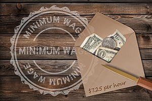Characteristics of minimum wage workers, 2024 image