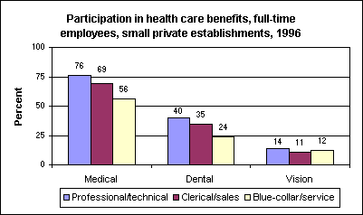 Participation in health care benefits, full-time employees, small private establishments, 1996
