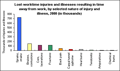 Lost-worktime injuries and illnesses resulting in time away from work, by selected nature of injury and illness, 2000 (in thousands)