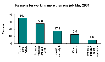 Reasons for working more than one job, May 2001