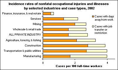 Incidence rates of nonfatal occupational injuries and illnesses by selected industries and case types, 2002