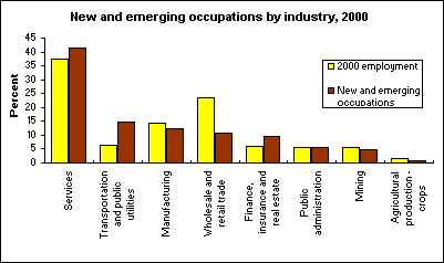New and emerging occupations by industry, 2000