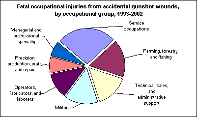 Fatal occupational injuries from accidental gunshot wounds, by occupational group, 1993-2002
