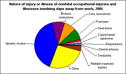 Nature of injury or illness of nonfatal occupational injuries and illnesses involving days away from work, 2005