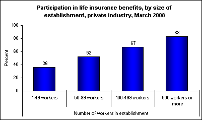 Participation in life insurance benefits, by size of establishment, private industry, March 2008