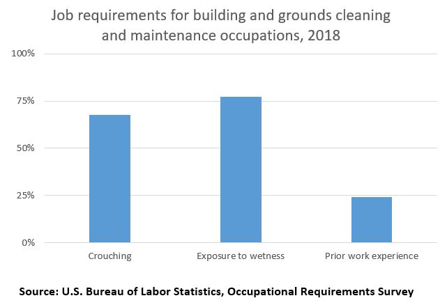 Job requirements for building and grounds cleaning and maintenance occupations