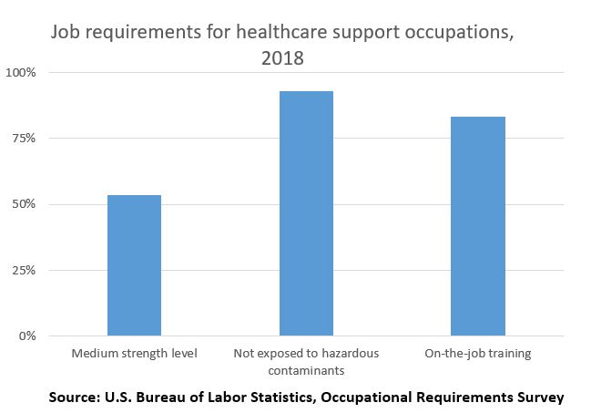 Job requirements for healthcare support occupations