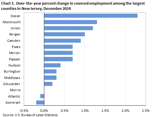 Horizontal bar chart showing over-the-year percent change in covered employment among the largest counties in New Jersey in December 2024. Accessible version available in View Chart Data link below the chart. 