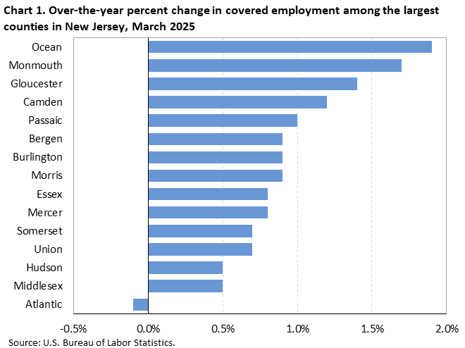 Horizontal bar chart showing over-the-year percent change in covered employment among the largest counties in New Jersey in March 2025.