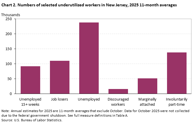 Bar chart of the 2025 annual 11-month averages for selected underutilized workers in New Jersey. An accessible version is available in View Chart Data link below the chart Bar chart of the 2025 annual 11-month averages for selected underutilized workers in New Jersey. An accessible version is available in View Chart Data link below the chart